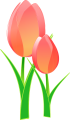 tulips-152832_960_720.png